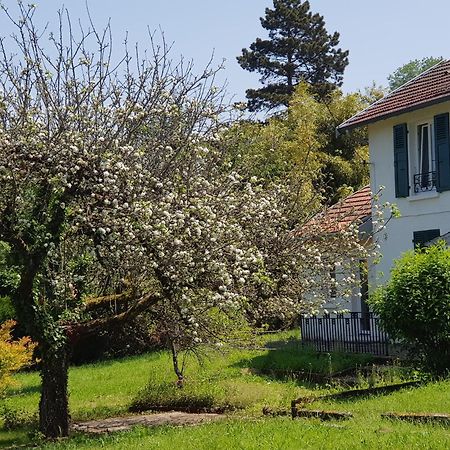 Апартаменты La Petite Sommiere Безансон Экстерьер фото